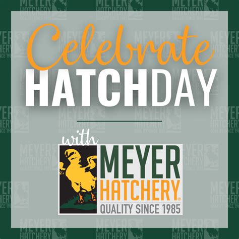 meyerhatchery|meyer hatchery location.